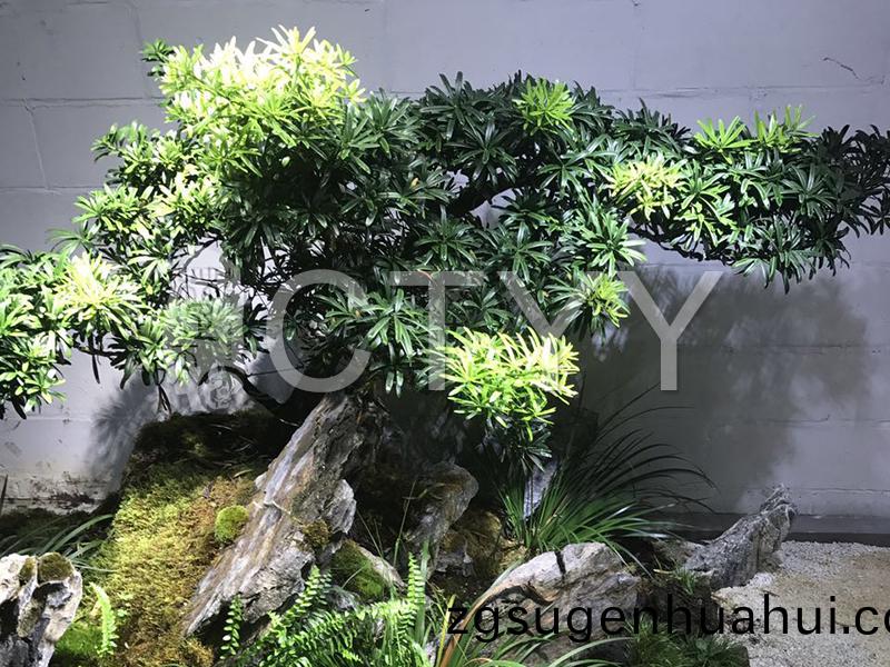 産(chan)品(pin)名(ming)稱
