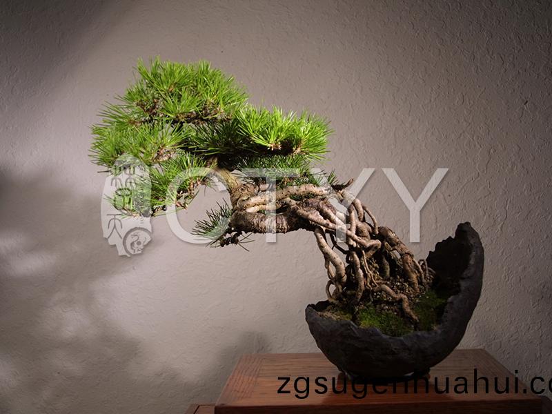 産品(pin)名(ming)稱(cheng)